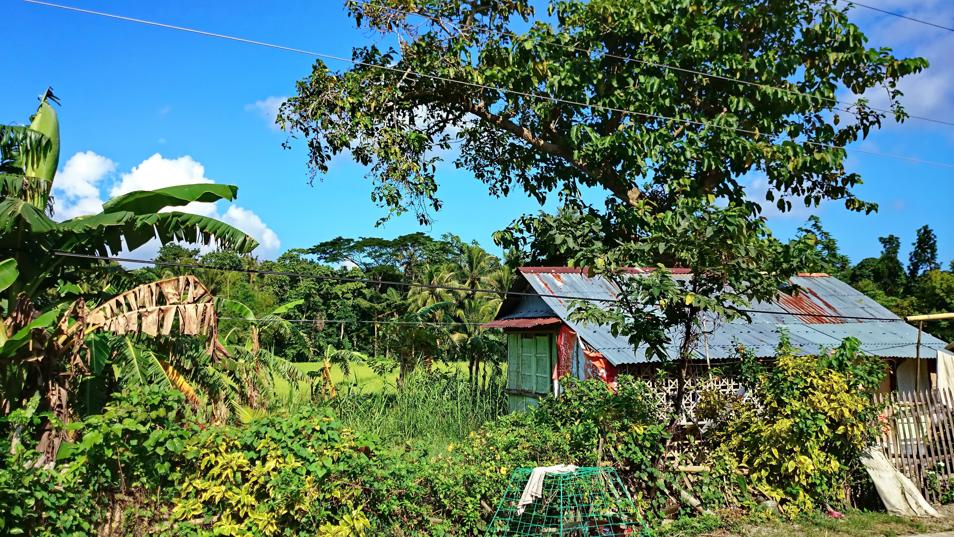 " Bambushütte " , Santa Cruz - Aklan