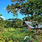 " Bambushütte " , Santa Cruz - Aklan