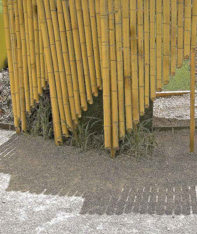 Bambuspfeifen