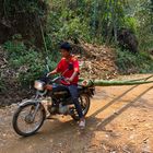 Bambusrohre auf dem Motorrad