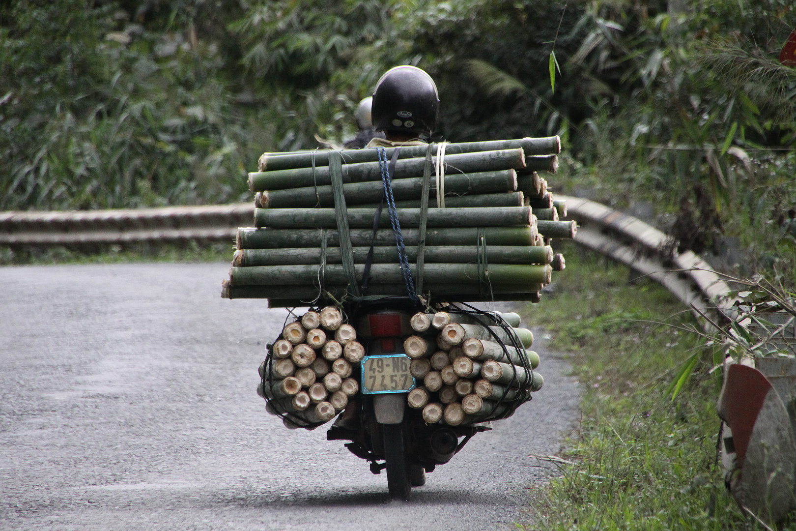 Bambustransporter