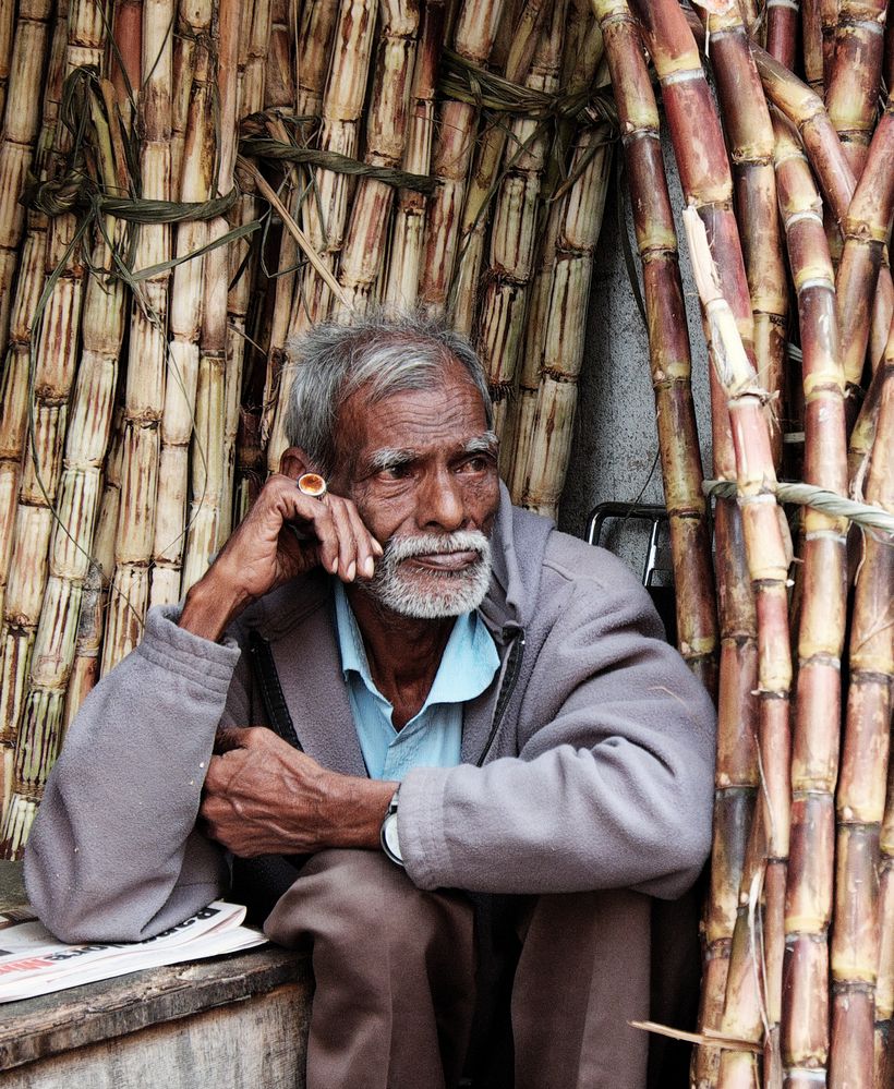 Bambusverkäufer in Indien