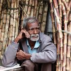 Bambusverkäufer in Indien