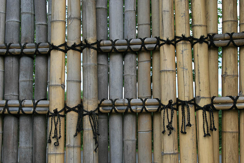 Bambuswand im Japanischen Garten Bonn
