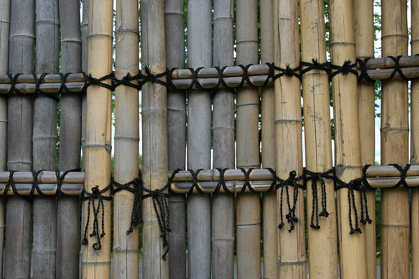 Bambuswand im Japanischen Garten Bonn Foto &amp; Bild