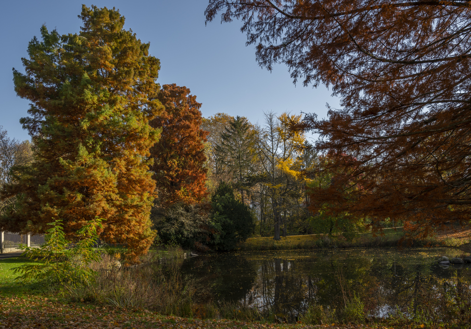 Bammelsburger Teich im Herbst