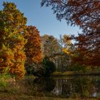 Bammelsburger Teich im Herbst