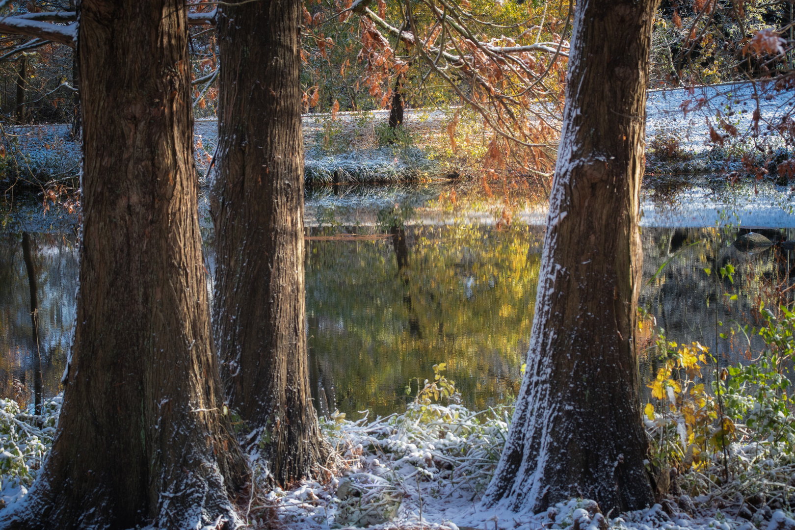 Bammelsburger Teich im Winter