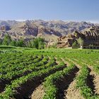 Bamyan