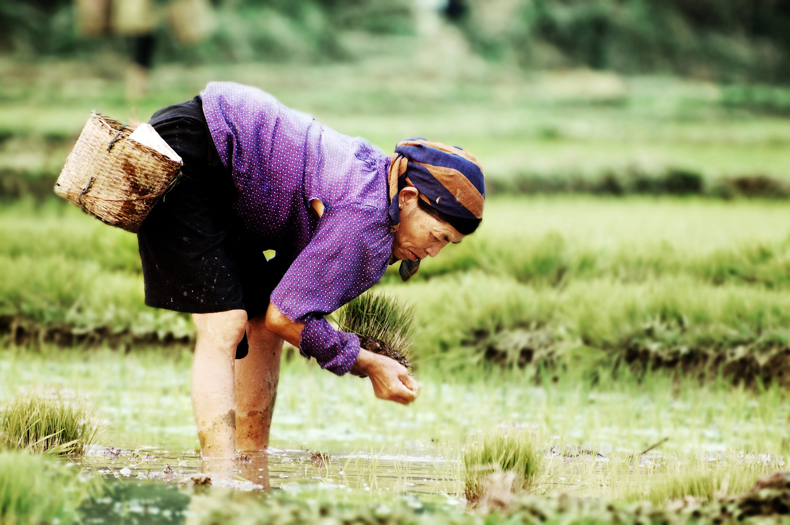 Ban Lac -Lai Chau -Vietnam