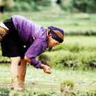 Ban Lac -Lai Chau -Vietnam