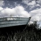 BAN017