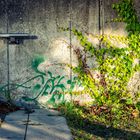 Banale Fotografie oder