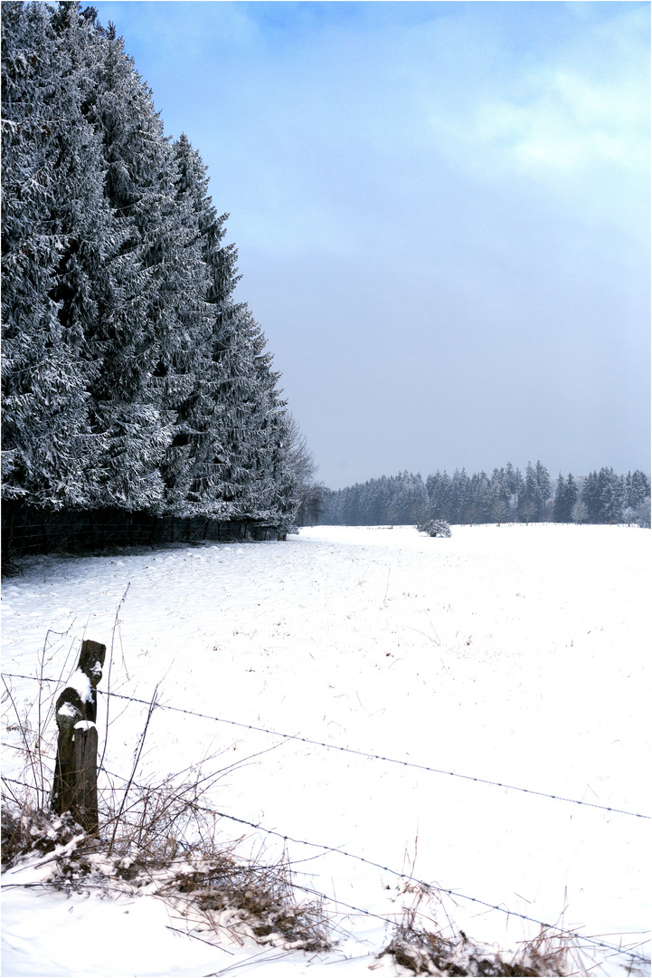 Banales Winterbild an einem banalen Donnerstag