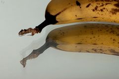 banana