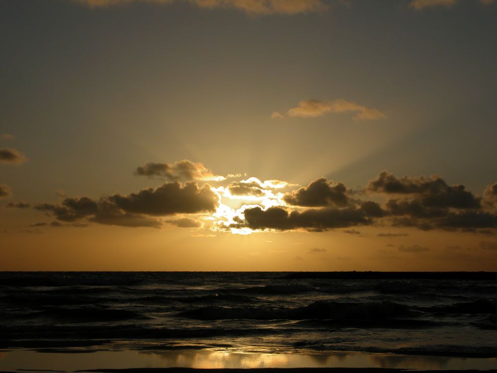 Banana Beach Tel Aviv