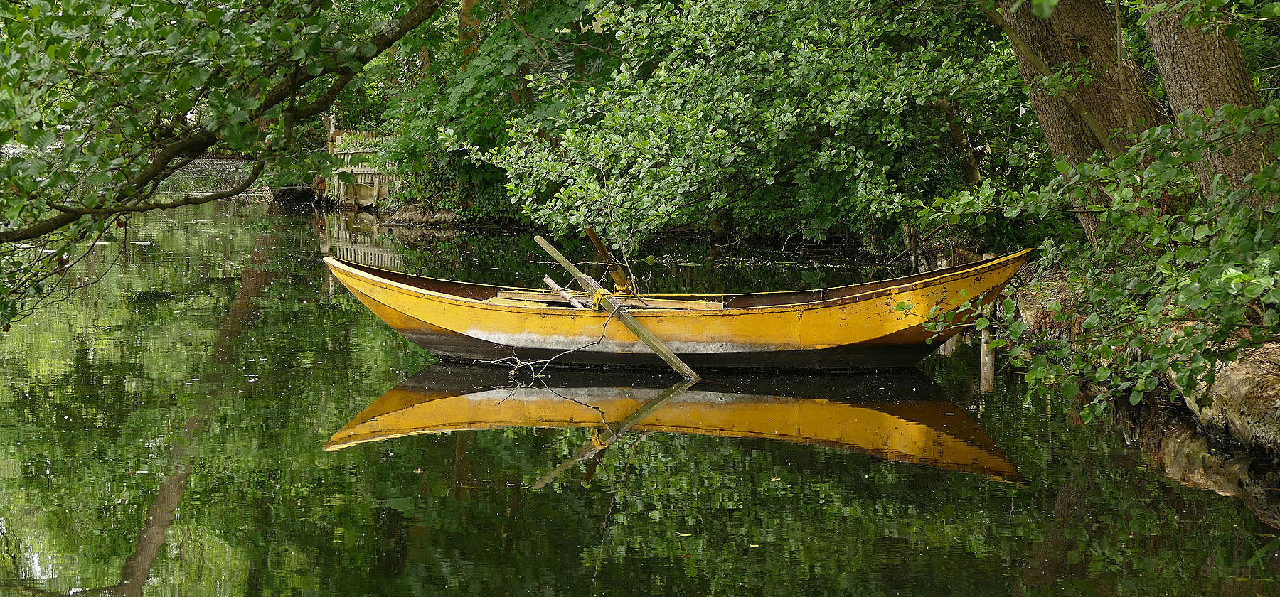 Banana Boat (Niederrhein 015)  