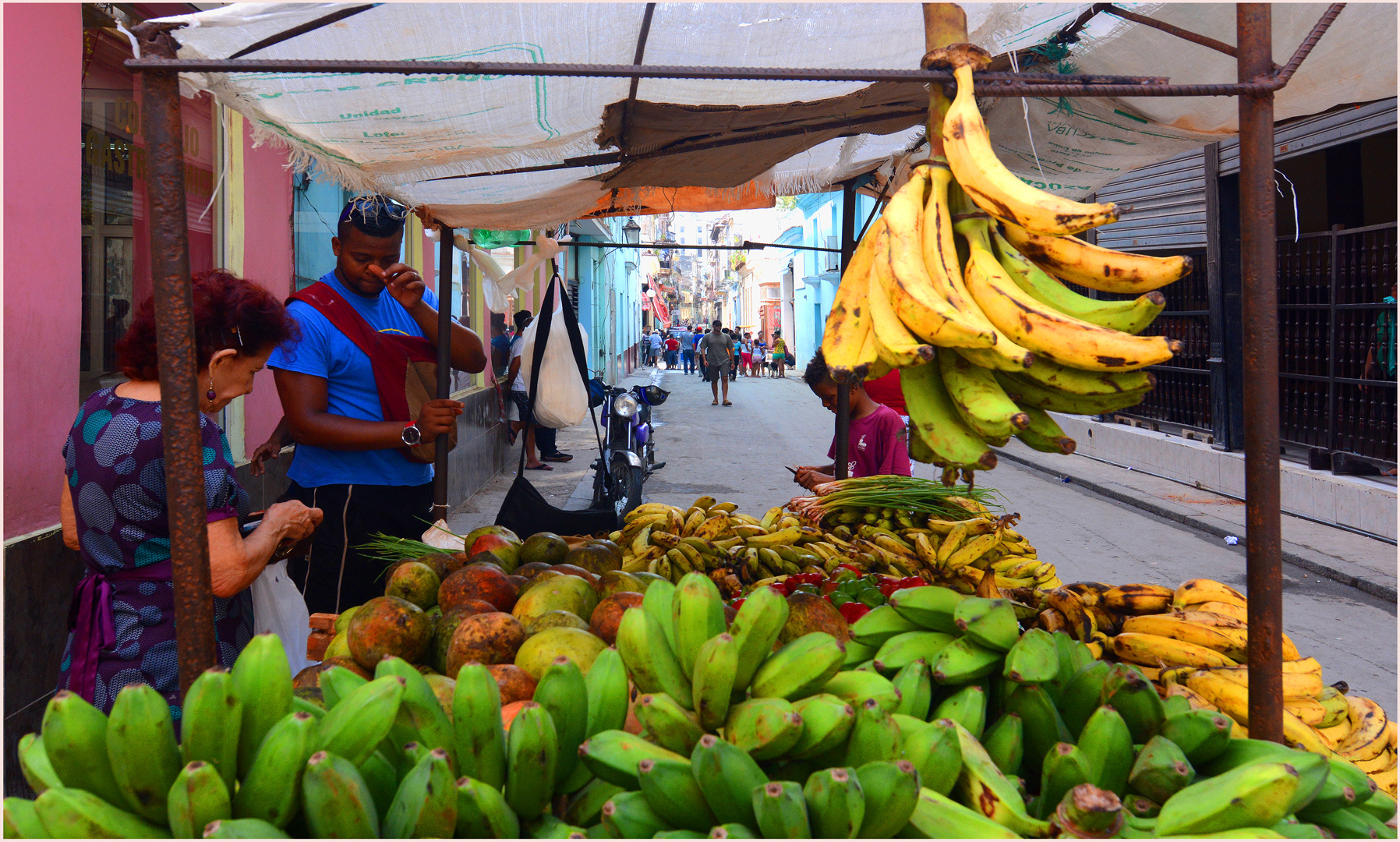 Banana from Havana ;-)