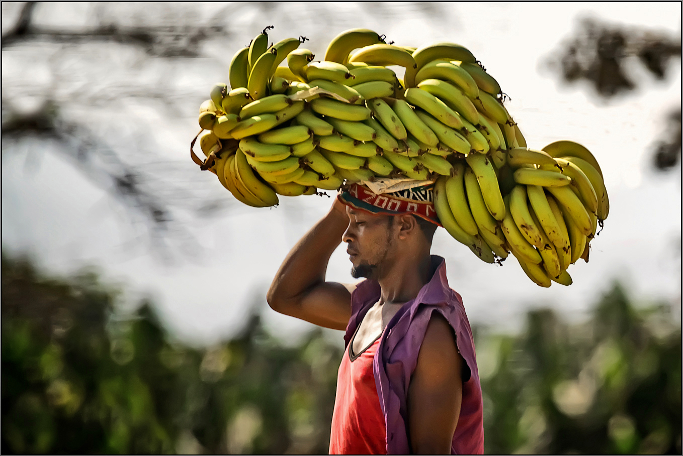 Banana Joe 