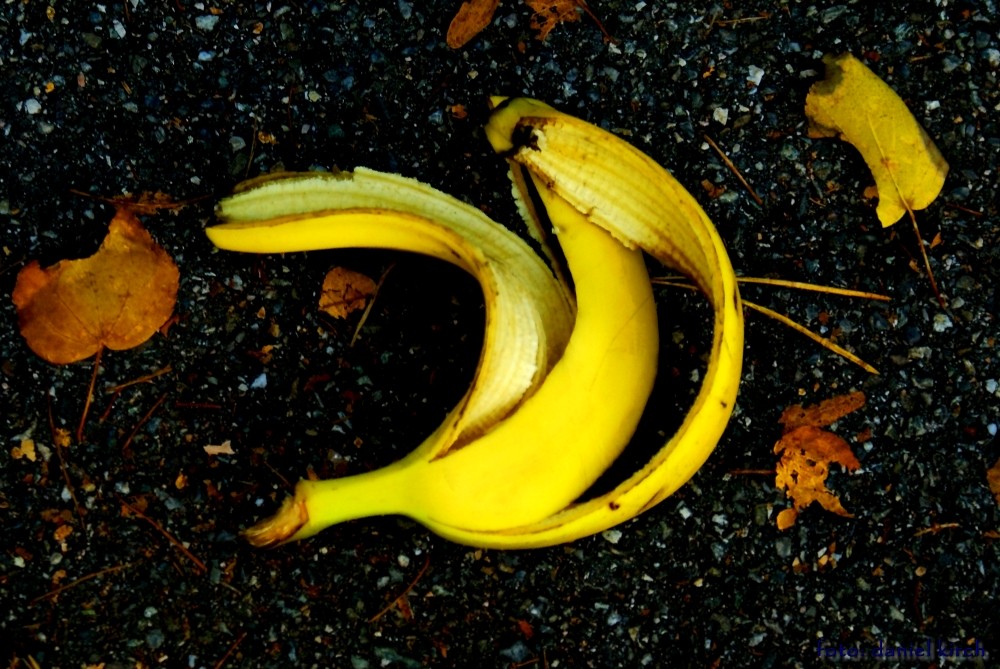 banana - oder: interessante müll-aspekte