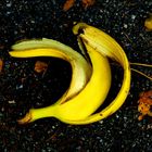 banana - oder: interessante müll-aspekte
