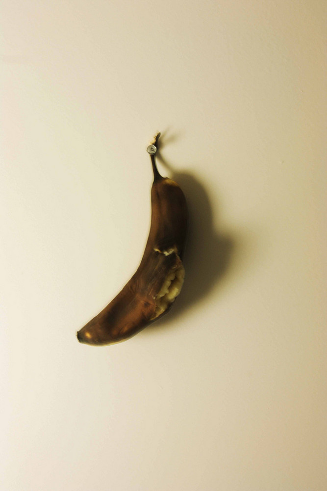 Banana Politiks, 2008