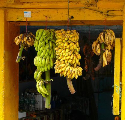 banana-shop à Cochin