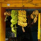 banana-shop à Cochin