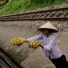 Banana train