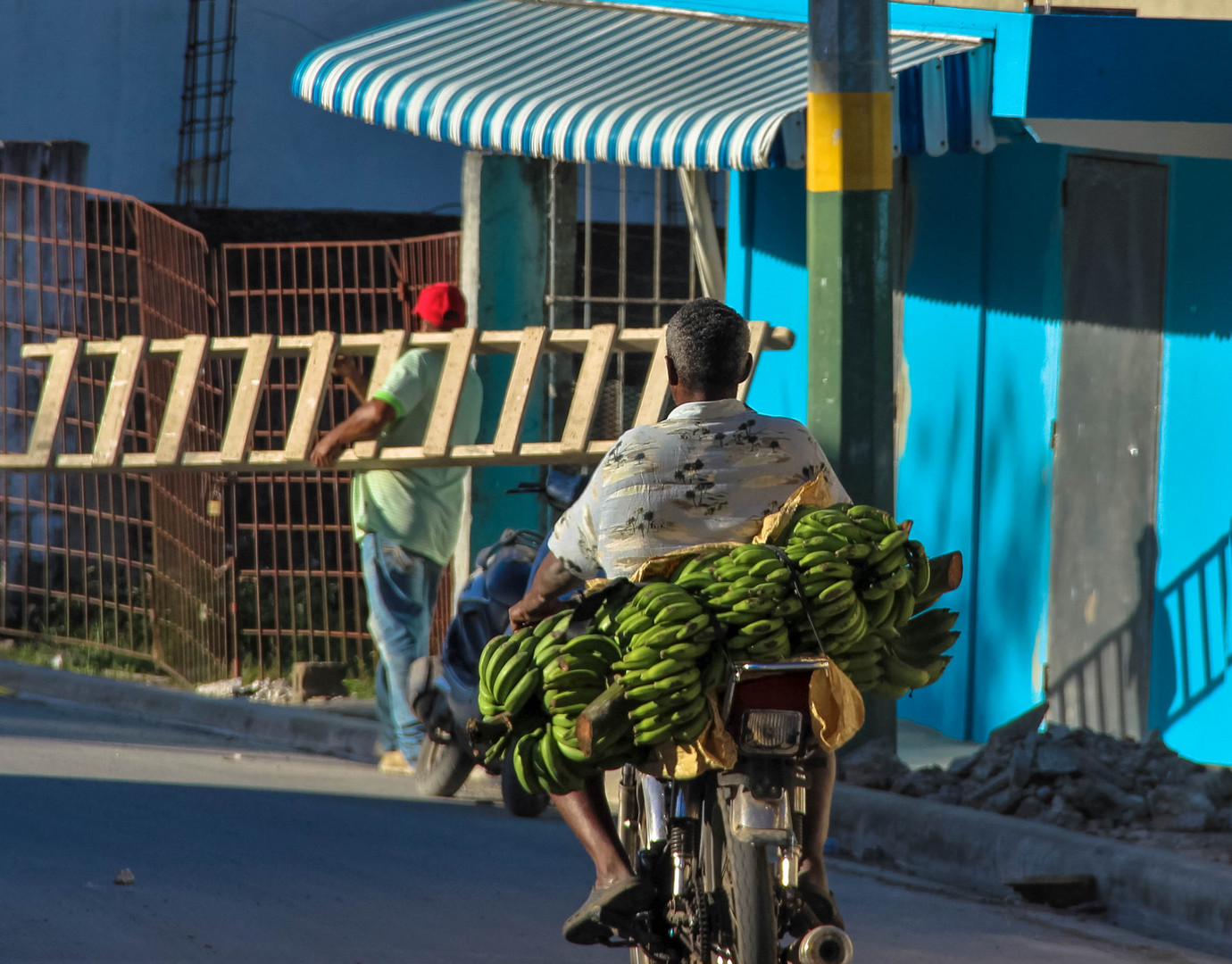 ..banana transport..