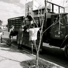 Banana truck