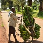 Banana-Truck