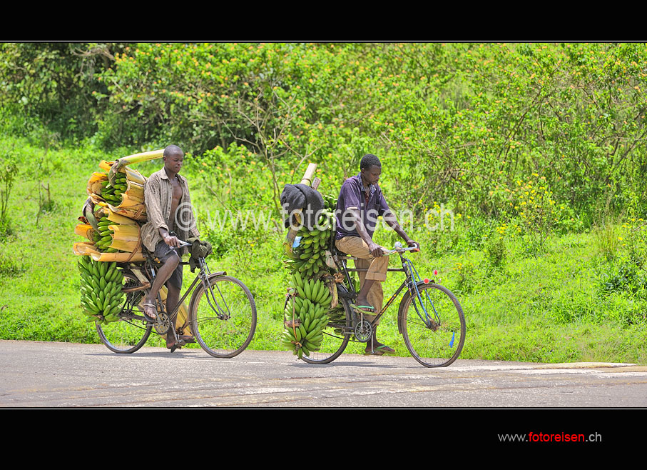 Bananabikes