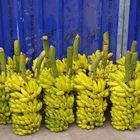 Bananas