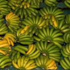 Bananas de Acores