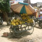 Bananas for sale