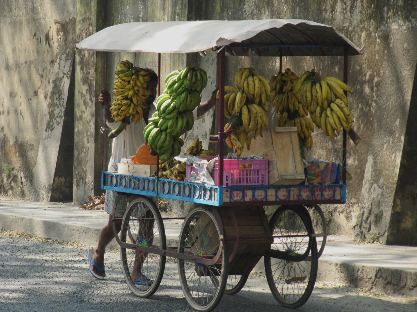 Bananas to go