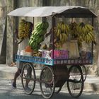 Bananas to go