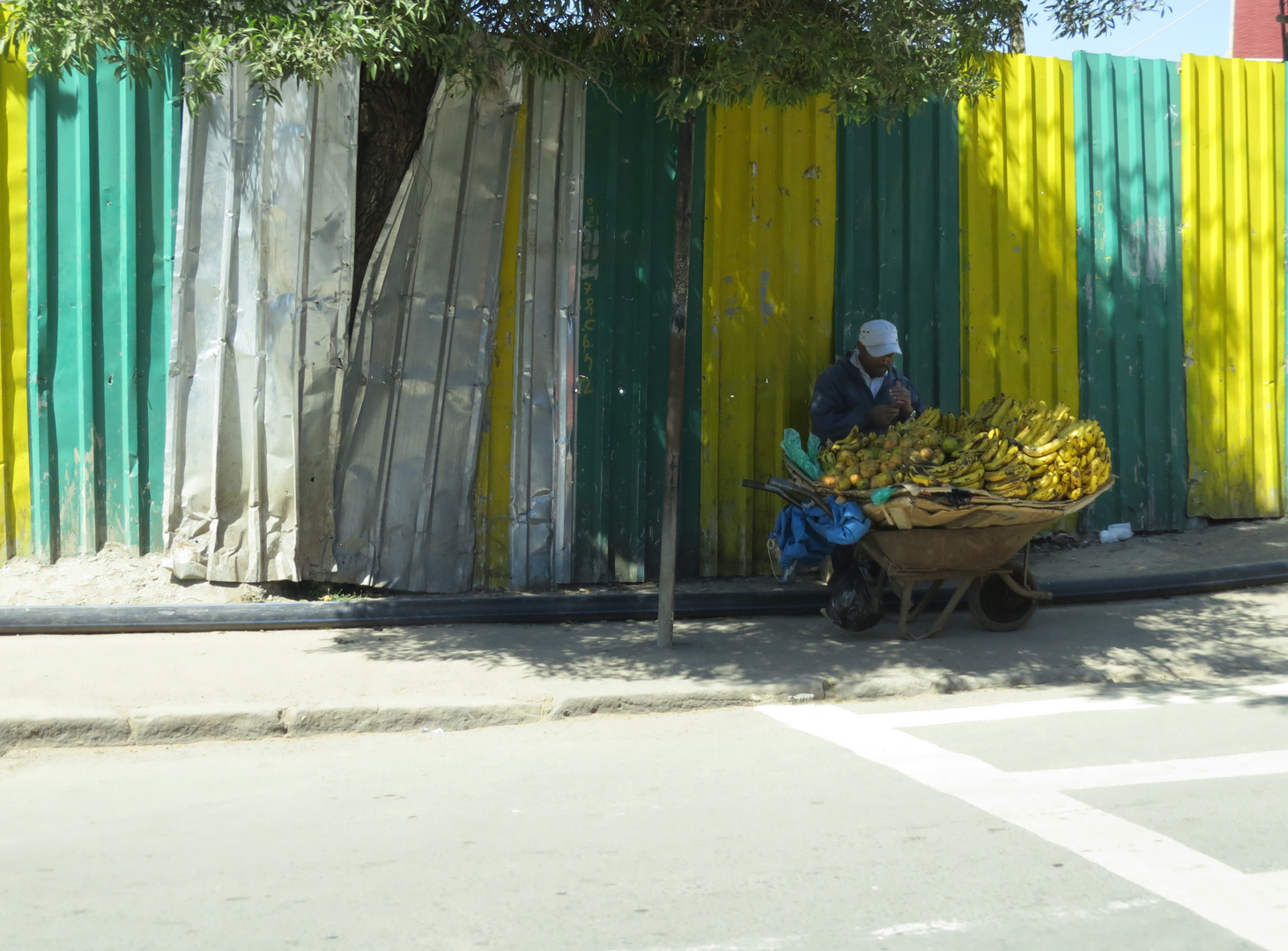 Bananas Ton in Ton