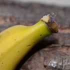 Banane