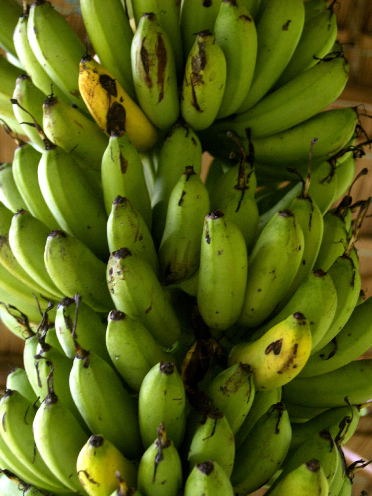 Banane