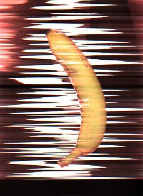 Banane