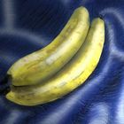 Bananen 1