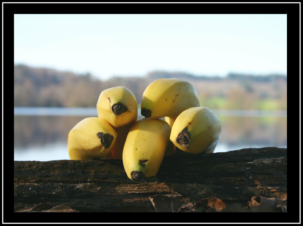 Bananen am See