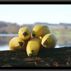 Bananen am See