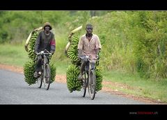 Bananen-Bike