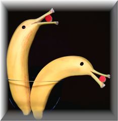  Bananen-Delfine  