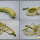 Bananen nach der Ernte