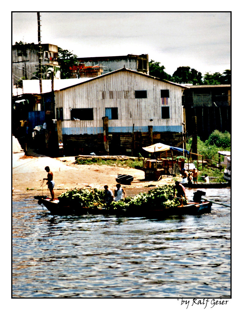 Bananen Transporter am Amazonas