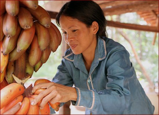Bananen-Verkäuferin in Cambodia